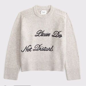 Abercrombie do not disturb Madeline sweater
